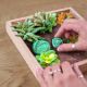 Set creatie Succulents Wood&Craft, 21 x 21 cm, +12 ani, Energy, Okto 579566