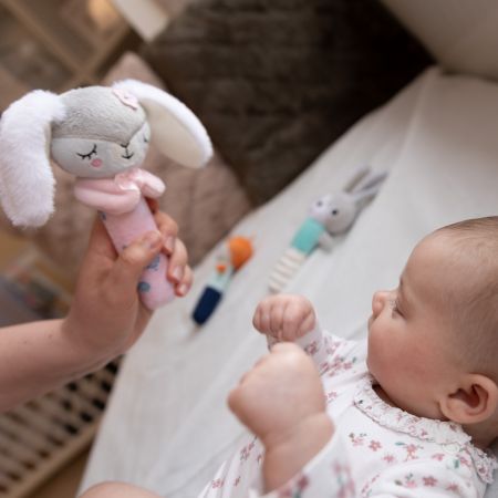 Jucarie chitaitoare din plus Iepurasul Duminica, + 3 luni, BabyOno 579977