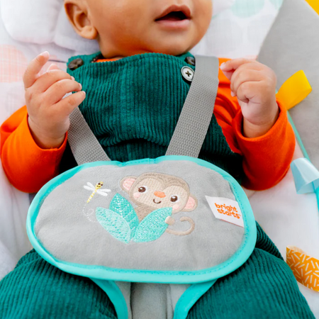Leagan portabil pentru copii Whimsical Wild, 0-9 luni, Bright Starts 581032
