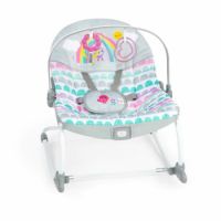 Balansoar 2in1 Rosy Rainbow, 0-30 luni, Bright Starts