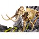 Kit Paleontologie Mamut Experimentele micului geniu, 7 ani+, Lisciani 689127