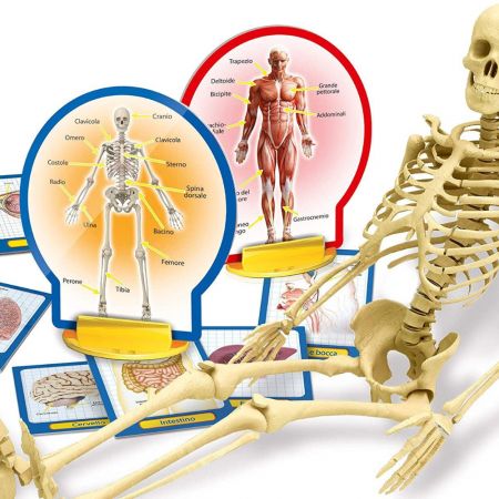 Experimentele micului geniu Corpul Uman, +6 ani, Lisciani 582064
