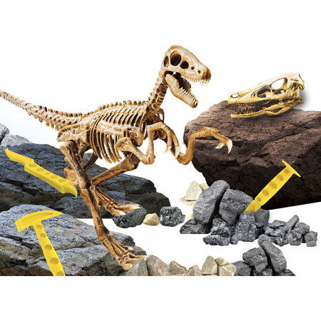 Experimentele micului geniu Kit Paleontologie Velociraptor, 7-12 ani, Lisciani 700460