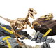 Experimentele micului geniu Kit Paleontologie Velociraptor, 7-12 ani, Lisciani 700460