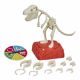 Joc dinozaurul T-Rex Rocks, Hasbro 582755