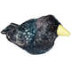 Jucarie de plus Pasare cu sunete, 17 cm, Graur, Wild Republic 584444