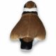 Jucarie de plus Pasare cu sunete, 17 cm, Prundaras Gulerat Mic, Wild Republic 584732