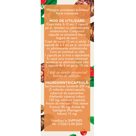 Probio Vital, 20 capsule vegetale, Fares 722034