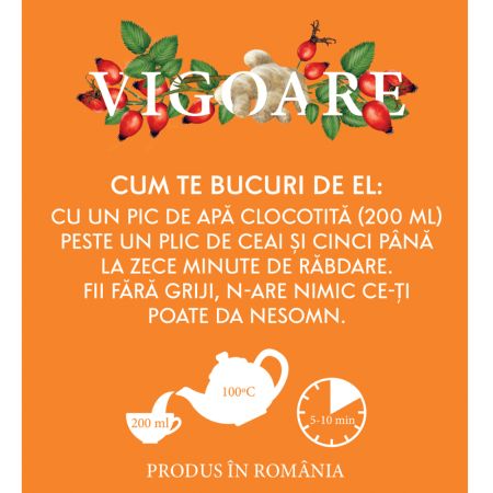 Ceai din macese si ghimbir Vigoare, 20 plicuri, Fares 722021