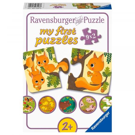 Puzzle animale si puiutii lor