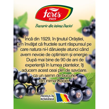 Ceai cu 50% coacaze, 20 plicuri, Fares 722540
