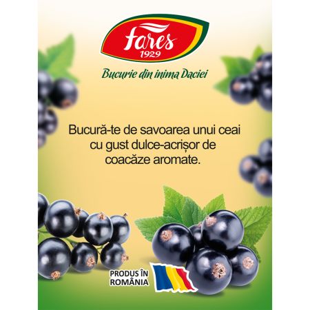 Ceai cu 50% coacaze, 20 plicuri, Fares 722544