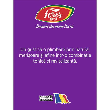 Ceai cu merisoare si afine, 20 plicuri, Fares 721596