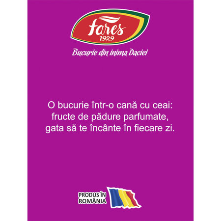 Ceai cu fructe de padure Aromfruct, 20 plicuri, Fares 723180