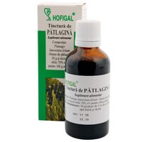 Tinctura de Patlagina, 50 ml, Hofigal