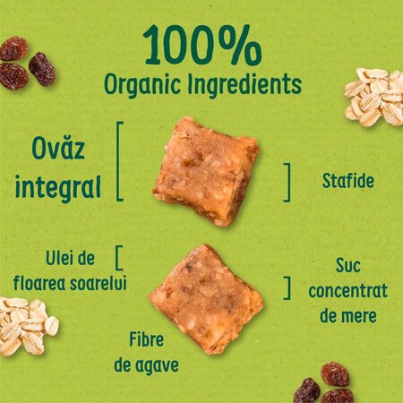 Cubulete ecologice moi din ovaz integral si stafide Flapjack, +12 luni, 12 luni+, 4x12g, Organix 822967
