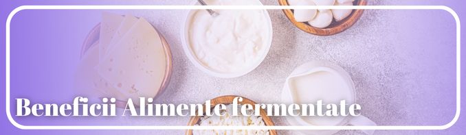 Alimente fermentate