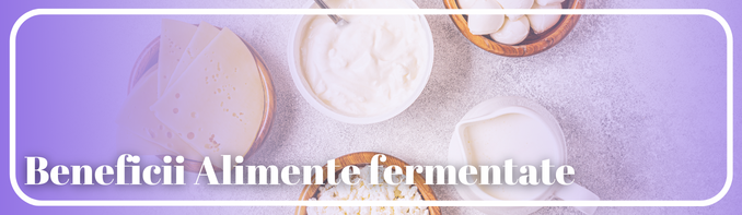 Alimente fermentate