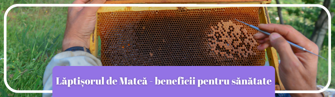 Laptisor de Matca