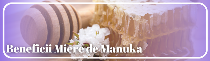 Miere de Manuka