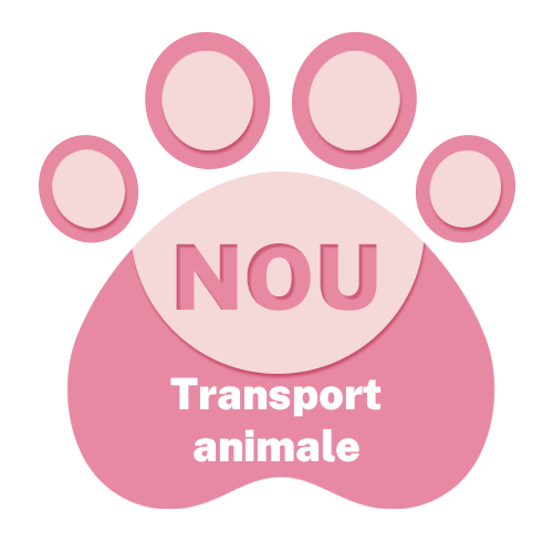 Pets