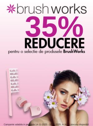 Black Friday cu reducere 35% la Brushworks