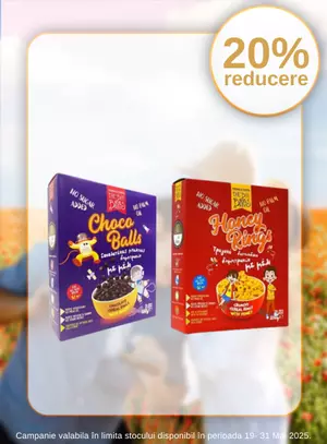 Promotie cu reducere de 20% la The Bee Bros