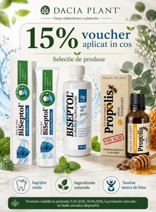 Promotie cu 15% voucher aplicat in cos la Dacia Plant