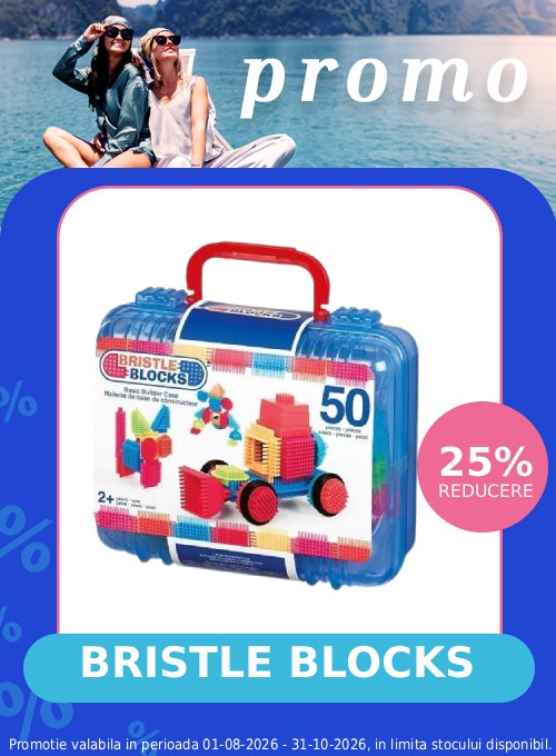 Promotie cu reducere 25% la Bristle Blocks
