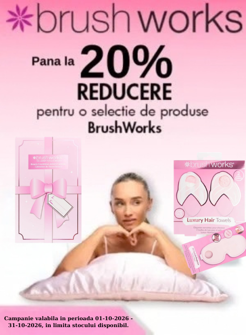 Promotie de pana la 20% reducere la Brushworks