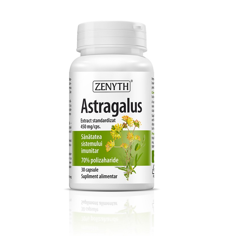 Astragalus, 30 capsule, Zenyth