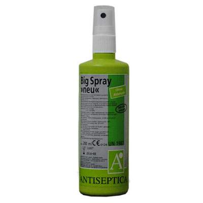 Big Spray, 200 ml, Antiseptica