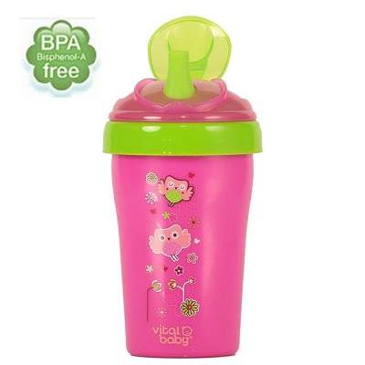 Cana cu pai, Todler Straw, +15 luni, 280 ml, 443070, Vital Baby