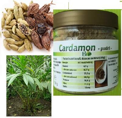 Cardamon Pudra, 100g, Managis