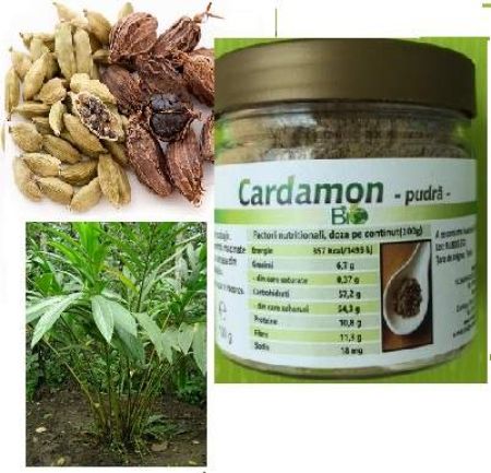 Cardamon Pudra, 100g, Managis