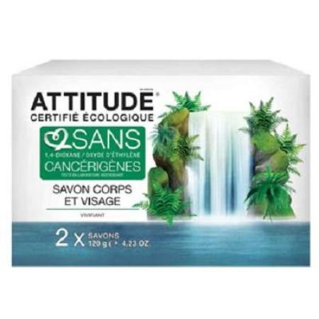 Sapun solid revigorant pentru fata si corp, 2 bucati, 240 g, Attitude