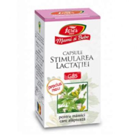 Stimularea lactatiei G85 Mami si Bebe, 60 capsule, Fares