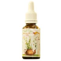 Solutie pentru aparat de aerosoli Aburii Naturii, 20 ml