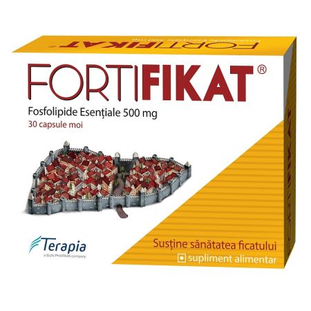 Fortifikat fosfolipide esentiale 540mg, 30 capsule moi, Terapia